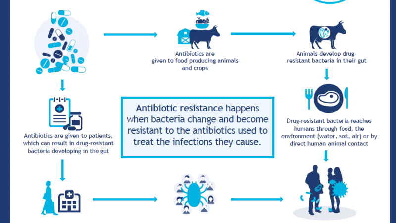 Quy trình kháng thuốc kháng sinh diễn ra như thế nào