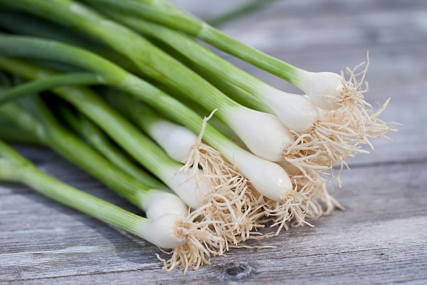 tác dụng của hành tươi